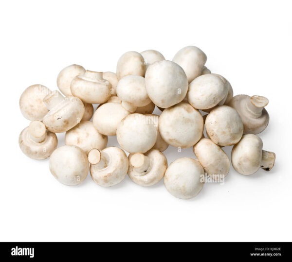 FUNGHI FRESCHI INTERI SFUSI AL KG